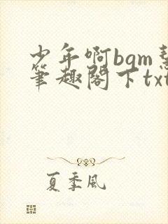 少年啊bgm慧笔趣阁下txt