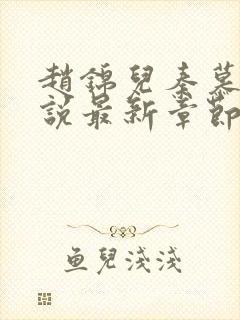 赵锦儿秦慕修小说最新章节阅读