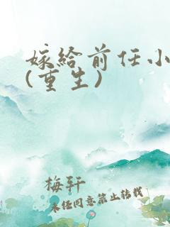 嫁给前任小叔子(重生)