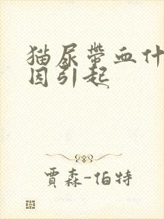 猫尿带血什么原因引起