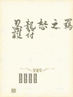 忍龙怒之羁绊全护符