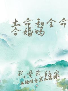 土命和金命的人合婚吗