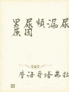 男尿频漏尿什么原因