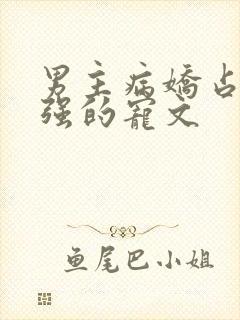 男主病娇占有欲强的宠文