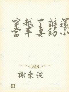 穿越了谁还稀罕当平妻的小说