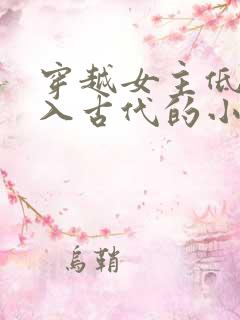 穿越女主低调融入古代的小说