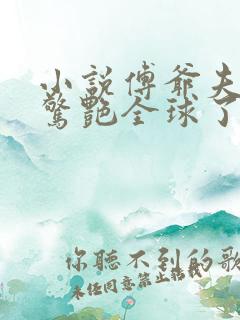 小说傅爷夫人又惊艳全球了txt