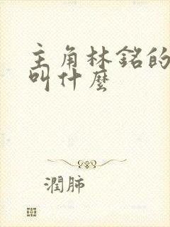 主角林铭的小说叫什么