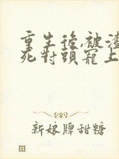 重生后,被渣男死对头宠上天电子书