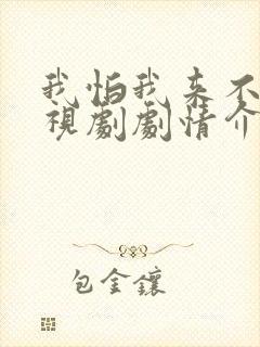 我怕我来不及电视剧剧情介绍