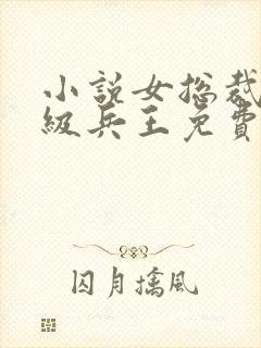 小说女总裁的超级兵王免费阅读