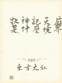 牧神记天庭之上是什么境界