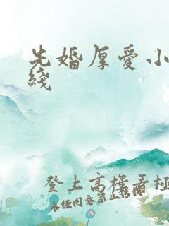 先婚厚爱小说在线