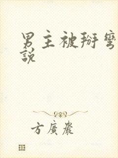 男主被掰弯的小说