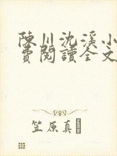 陈川沈溪小说免费阅读全文最新章节