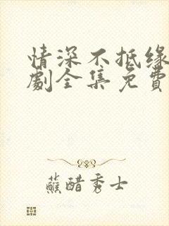 情深不抵缘错短剧全集免费播放