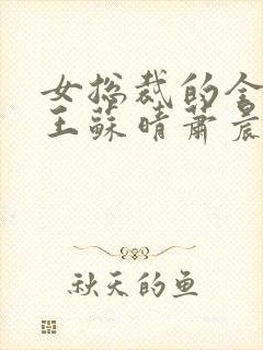 女总裁的全能兵王苏晴萧晨