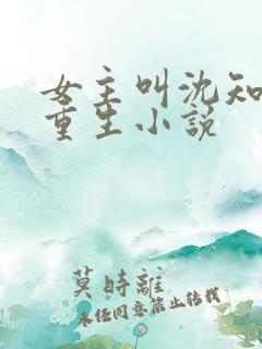 女主叫沈知鸢的重生小说