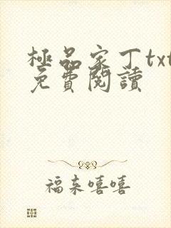 极品家丁txt免费阅读