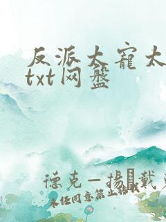 反派太宠太撩人txt网盘