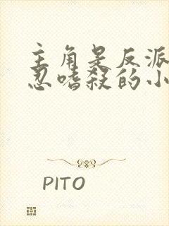 主角是反派且残忍嗜杀的小说