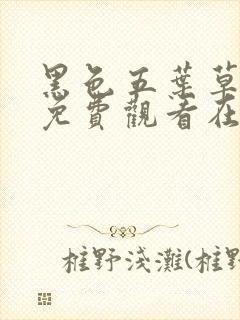 黑色五叶草全集免费观看在线