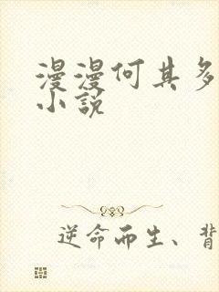 漫漫何其多最新小说