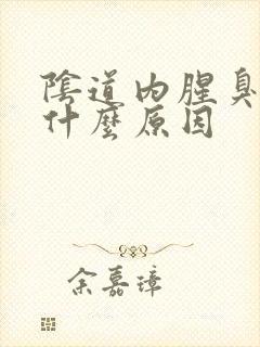 阴道内腥臭味是什么原因