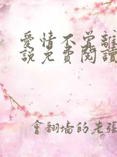 爱情不曾离开小说免费阅读