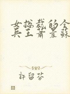 女总裁的全能型兵王萧晨苏晴