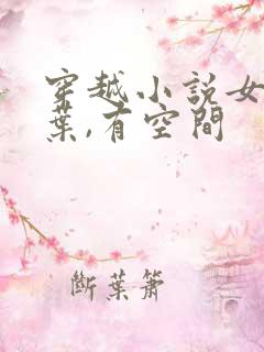 穿越小说女主姓叶,有空间