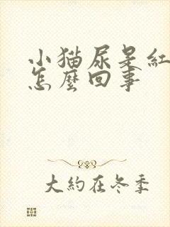 小猫尿是红色的怎么回事