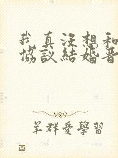 我真没想和大佬协议结婚晋江