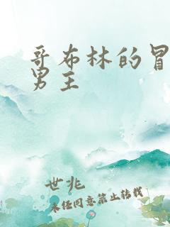 哥布林的冒险双男主