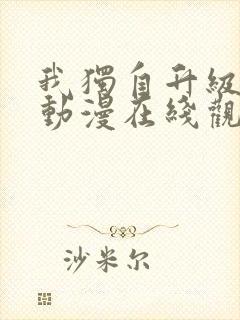 我独自升级高清动漫在线观看