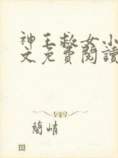 神王救女小说全文免费阅读