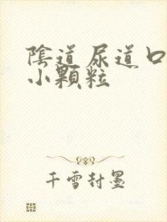 阴道尿道口有个小颗粒