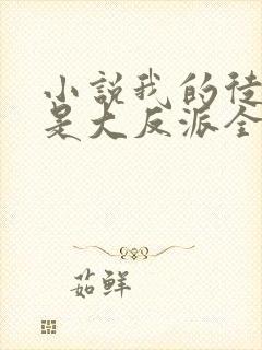 小说我的徒弟都是大反派全文阅