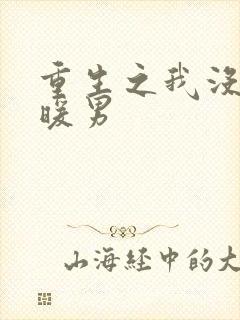 重生之我没想当暖男