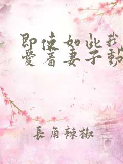 即使如此我还是爱着妻子动漫全集