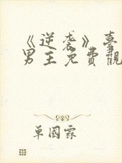 《逆袭》台剧双男主免费观看