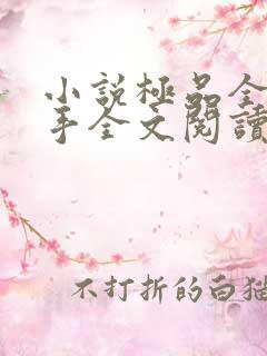 小说极品全能高手全文阅读