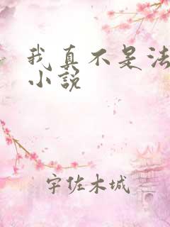 我真不是法爷 小说