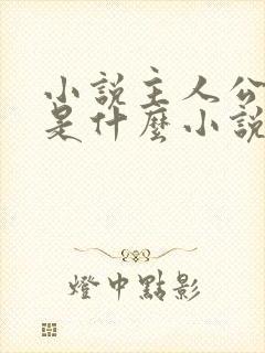 小说主人公叶玄是什么小说名