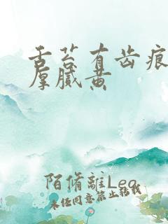 舌苔有齿痕胖大厚腻黄