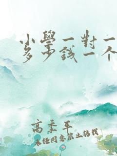 小学一对一辅导多少钱一个小时