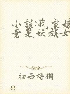 小说:我家娘子竟是妖族女帝