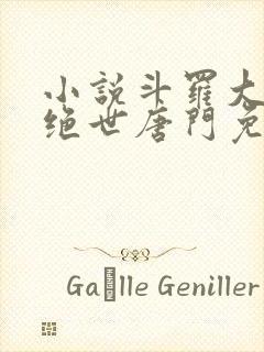 小说斗罗大陆2绝世唐门免费阅读