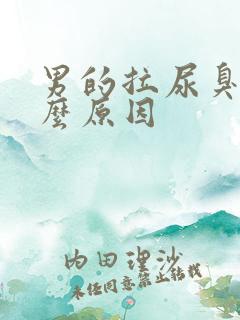 男的拉尿臭是什么原因