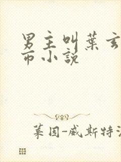 男主叫叶玄的都市小说